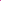 Jersey jacquard léopard rose