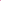 Patch thermocollant Tiger Pink Limistic