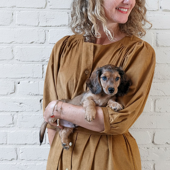 Patron robe et blouse femme Amor