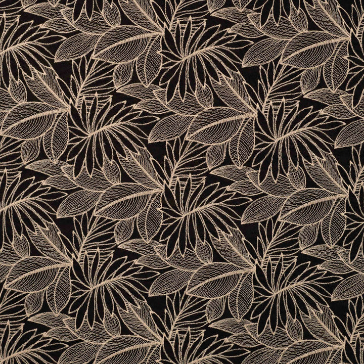 Coton noir broderie écru luxe